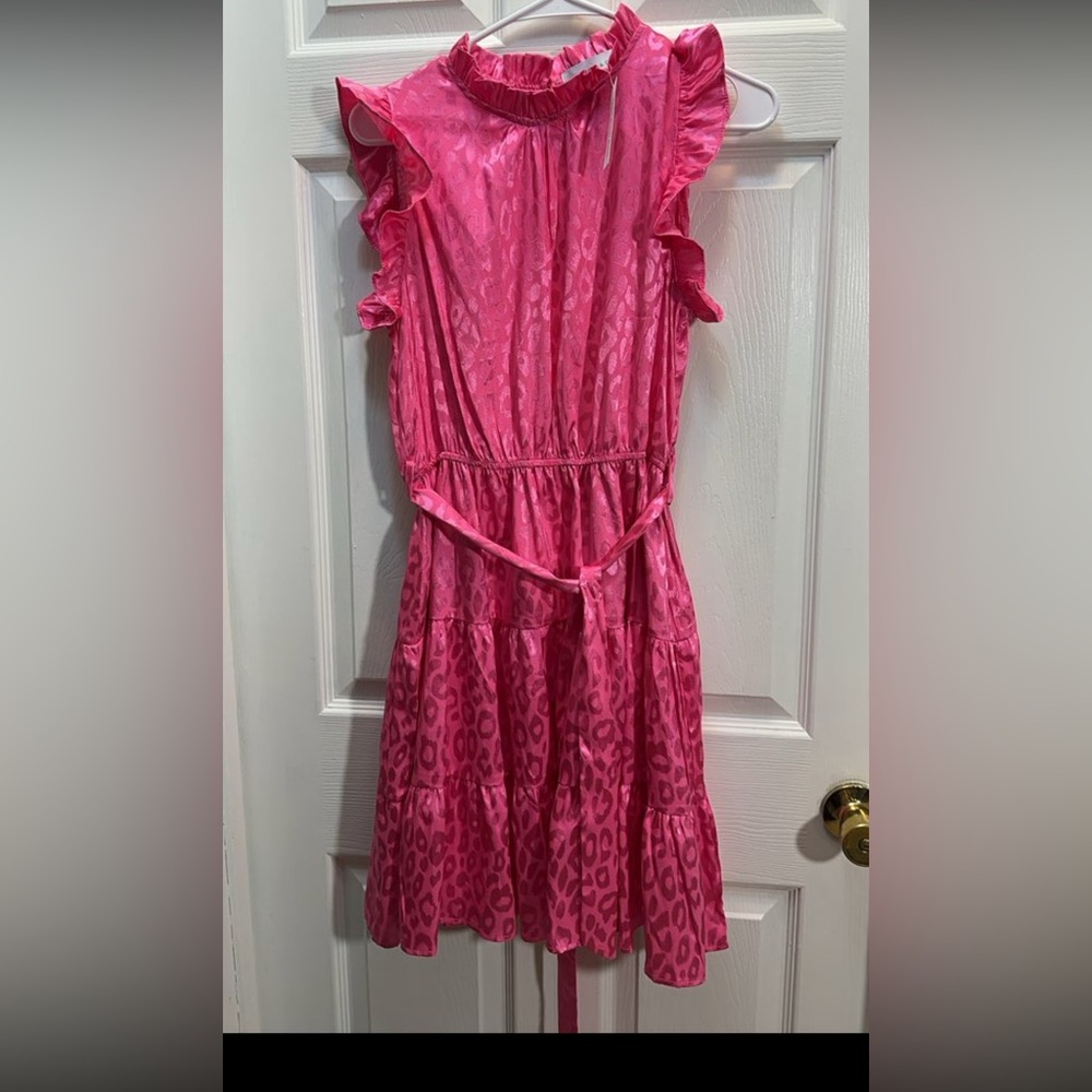 Women’s Hot Pink Satin-Look Animal Print Dress with Tie Waist